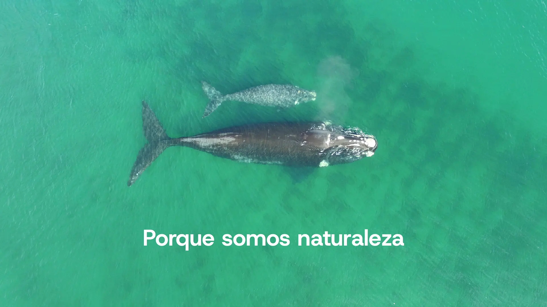 slide-05